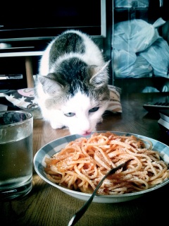 �i�|���^�����K