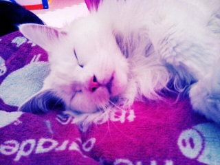 ��