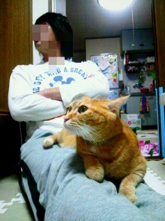 �߂��炵��