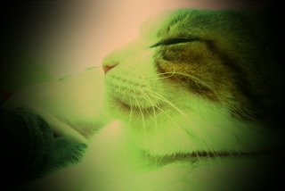 Zzzzz