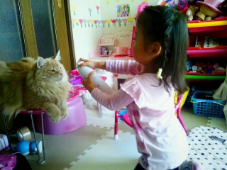 �T���ɂ��ׂ�ʂ���I