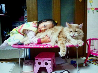 �T�������[��I