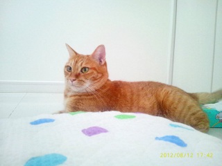 ����[