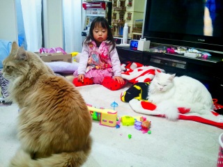 ����Ђ������ꂽ�̂ŋ󂪉��ɂ���̂��C���Ȗ��B